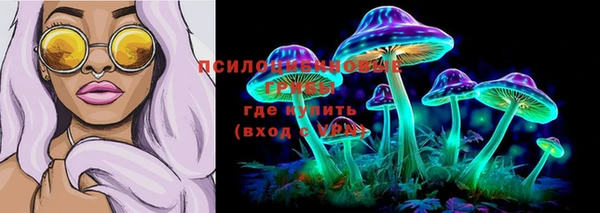 спайс Мегион