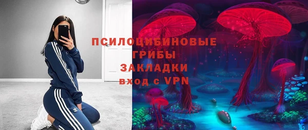 МДПВ Михайловка