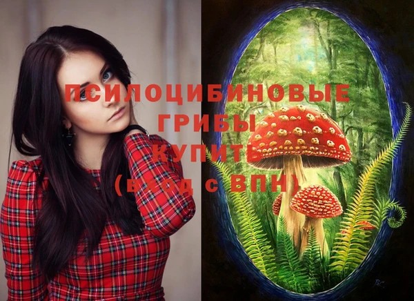 спайс Мегион