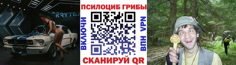 цена   это как зайти  блэк спрут ССЫЛКА  Псилоцибиновые грибы мухоморы  Черкесск 