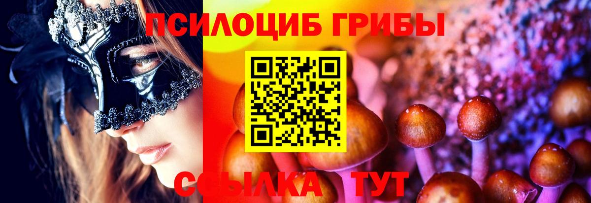 Черкесск  Галлюциногенные грибы MAGIC MUSHROOMS  Вход с VPN 